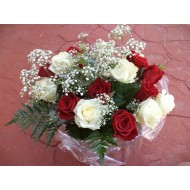 Roses CANYMEDES 16x XXXL 60 cm Nr 725